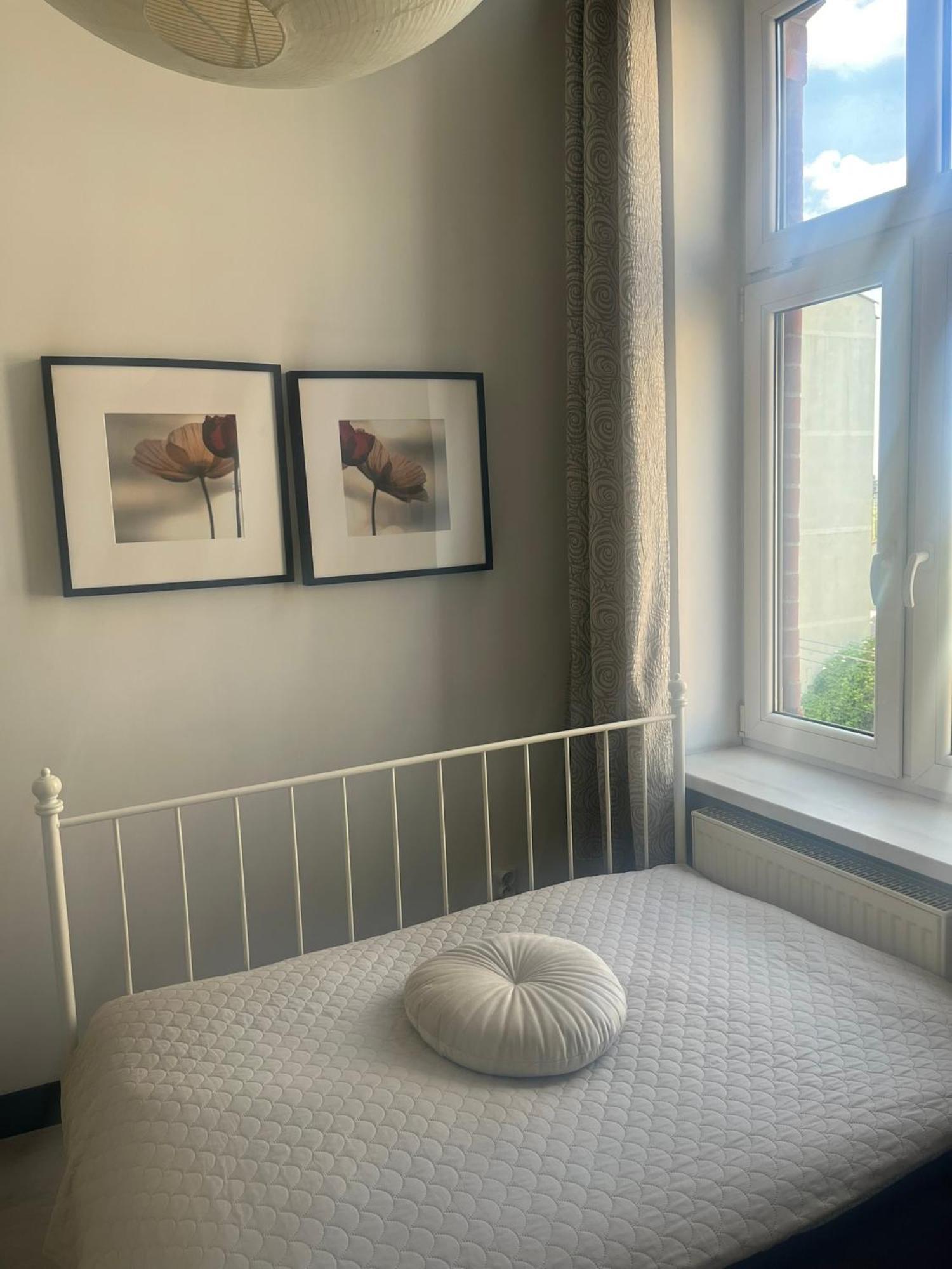 Hstyle Apartament Mikolowska 9 Катовіце Екстер'єр фото
